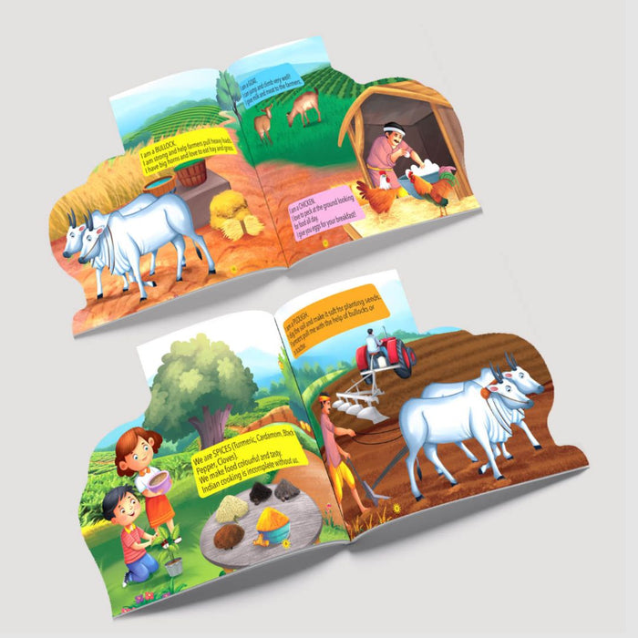 Lift the Flap - Farm (Illustrated Flap Book for Kids)