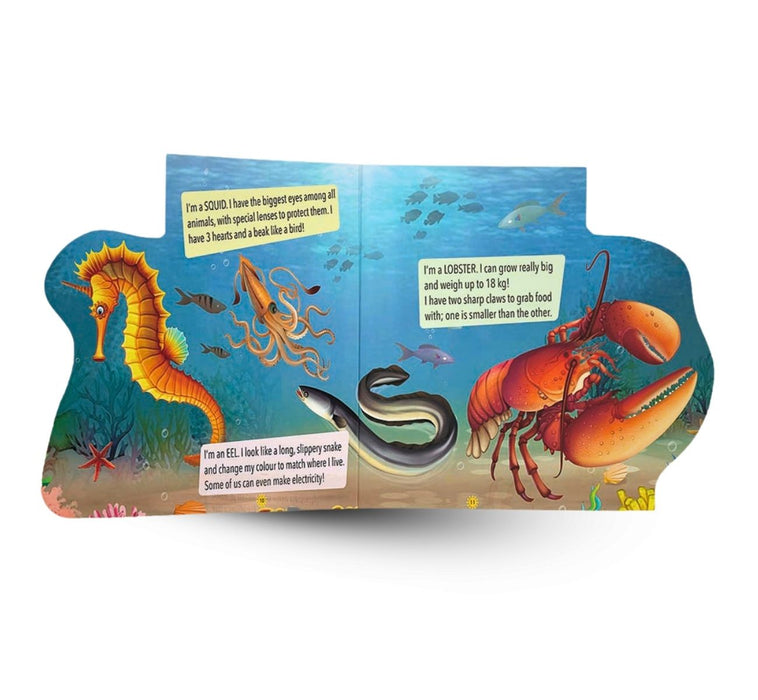 Lift the Flap - Ocean (Illustrated Flap Book for Kids)