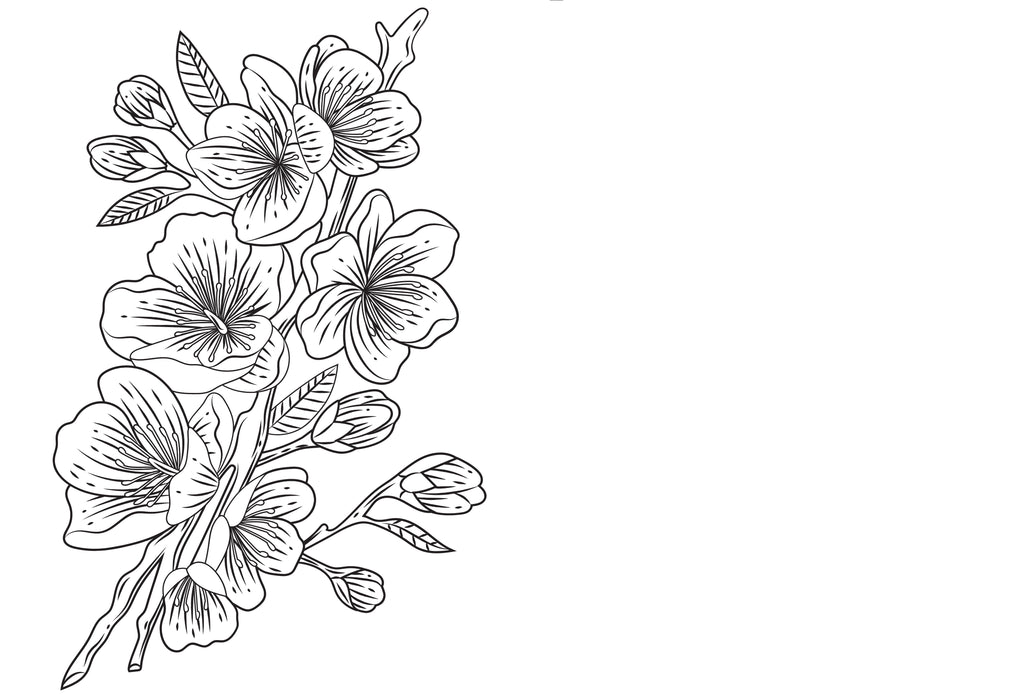 Adult Colouring Book - Flowers for Inner Calm