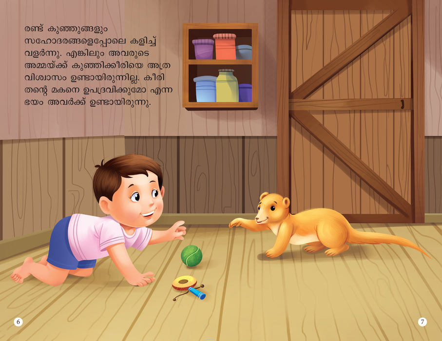 Panchatantra Stories (Set of 10 Books) (Malayalam)
